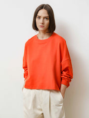 summer crew - lightweight terry dragonfire